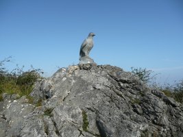 Txoria