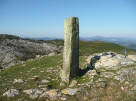 Tontorra
