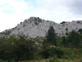 Betzuenburu