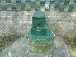 Buzoia