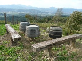 Tontorra