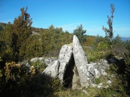 Larrako trikuharria, gailurretik gertu