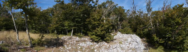 Tontorra