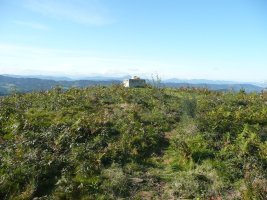 Tontorra