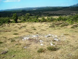 Soiluze  tumulua
