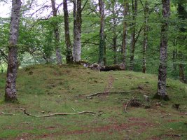 Txuritxoberri