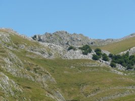 Andraitz