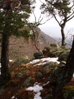Oso-ko gailurra