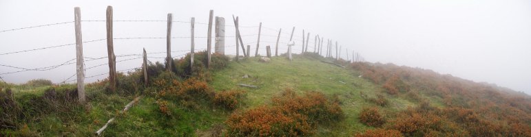 Tontorra