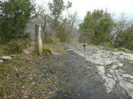 Tontorra