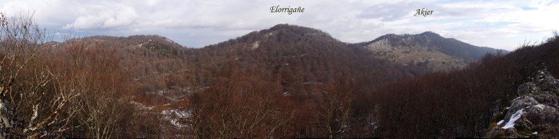 Akier eta Elorrigaine Sollaunditik