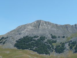 Arbelaitz
