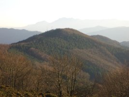 Elosumendi