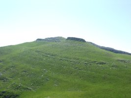 Pardarri