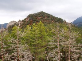 Azkarregia Haitza