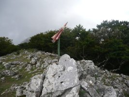 Tontorra