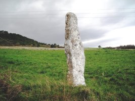 Ribota  zutarria