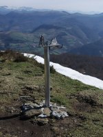 Buzoia