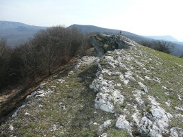 Tontorra