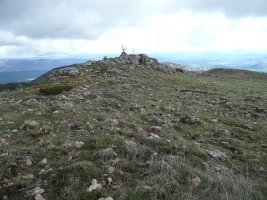 Tontorra