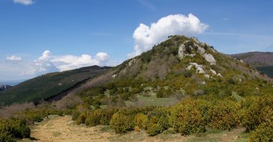 Aiurdi