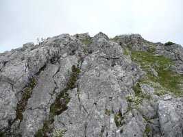 Tontorra