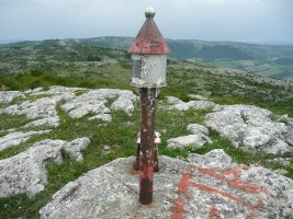 Buzoia