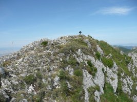 Tontorra