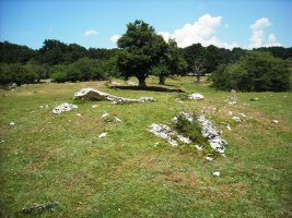 Larreaundi