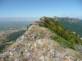 Tontorra