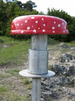 Buzoia