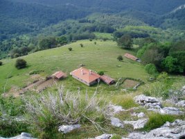 Txutxuta