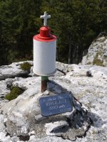 Txartelontzia