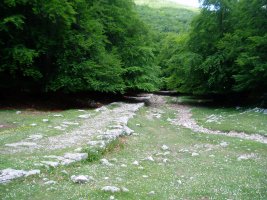 Kaltzada
