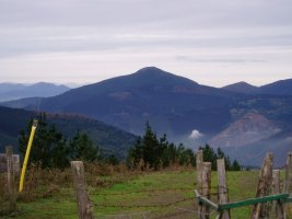 Sasiburutik Eretza