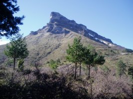 Tologorri