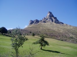 Tologorri