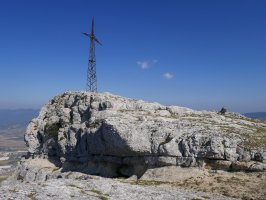 Mirutegi tontorra