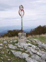 Txartelontzia