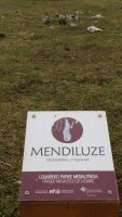 Mendiluze zutarria (2017)