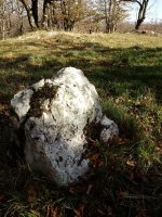 Gainsoil zutarria (2017)