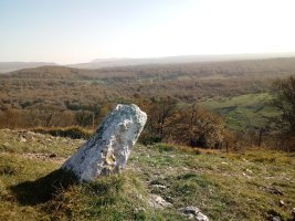 Zelaiaundi zutarria  2