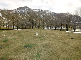 Gorostiaran tumuloa