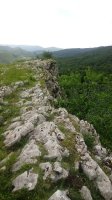 Leizehaundia, tontorra