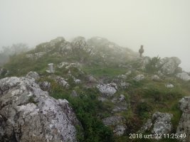 Mugarra, tontorra