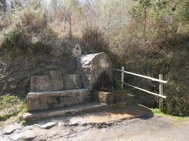 Kolitza iturria