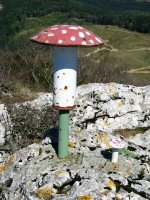 Txartelontzia