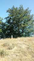 Marabilleta M. (1052m) tontorra