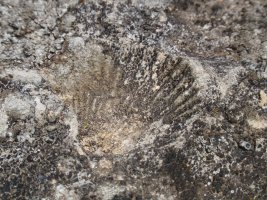 RASOS DE EZPOLA 3