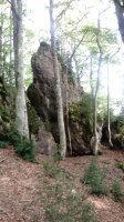Araxamendi (1338m) tontorraldea